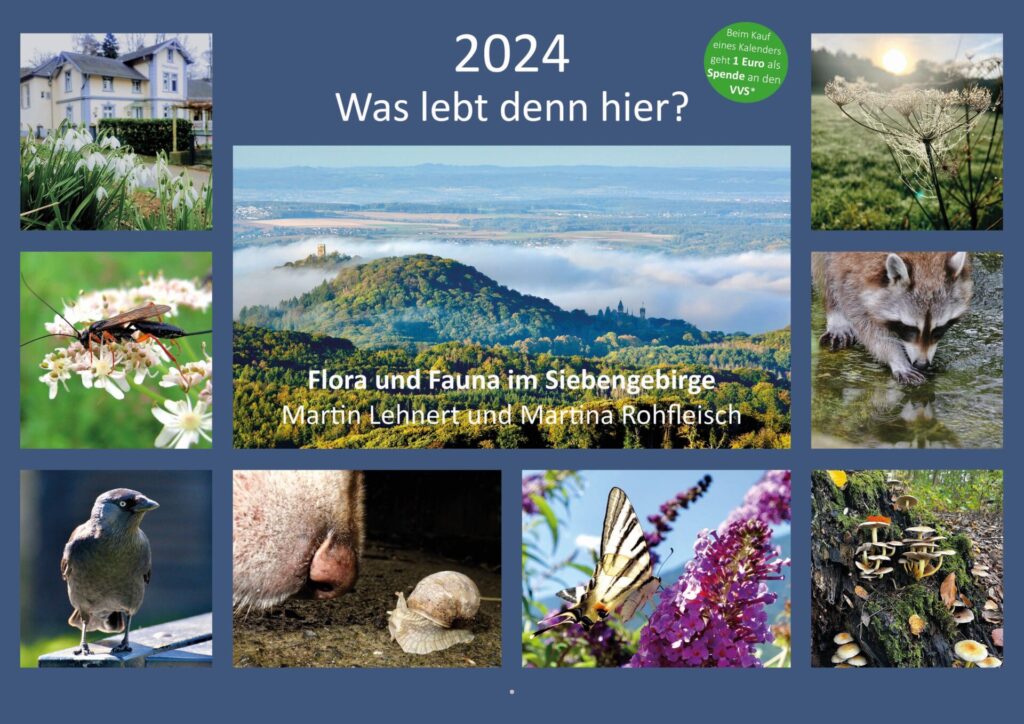 schloss-hagerhof-kalender-2024-was-lebt-denn-hier-01