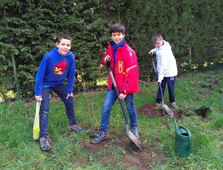 Ein gedeckter Tisch für Vögel und Insekten – Schüler:innen pflanzen einheimische Sträucher auf der Streuobstwiese