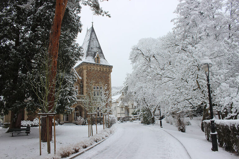 Morgen, Mo. 12. Jan.: Distanzunterricht!