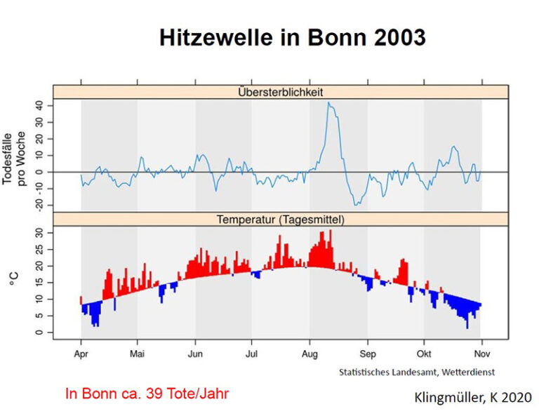 Was hat unsere Umwelt mit unserer Gesundheit zu tun?